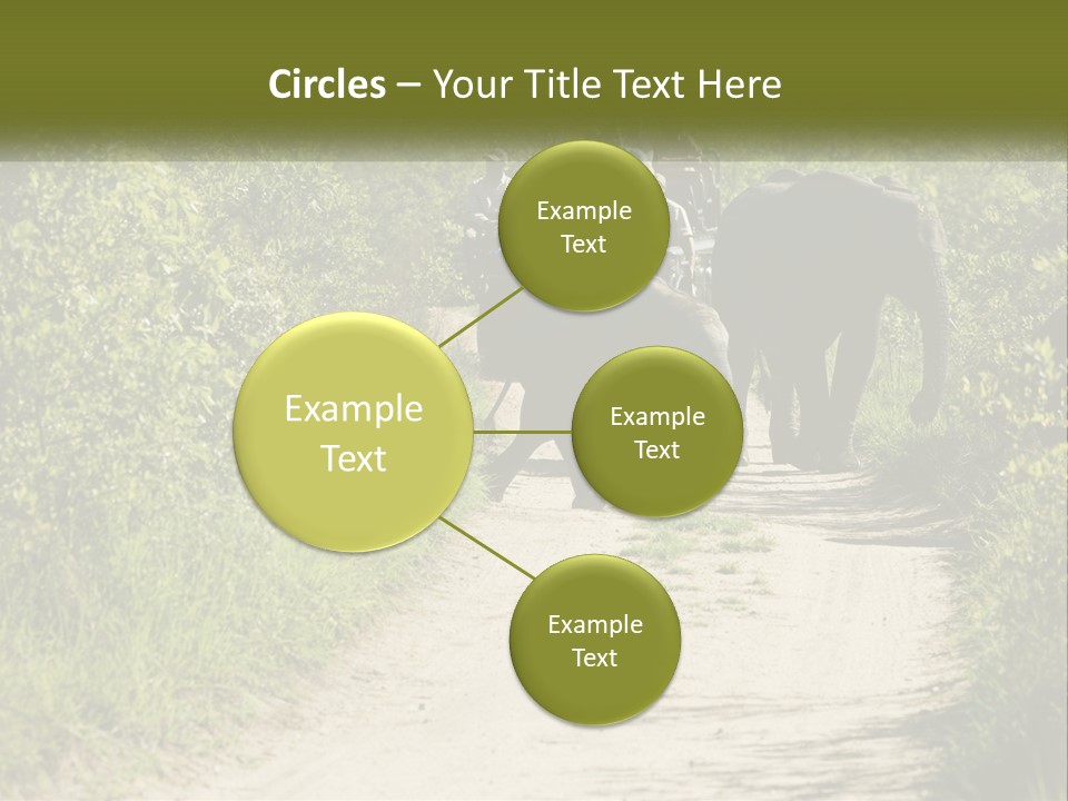 A Group Of Elephants Walking Down A Dirt Road PowerPoint Template