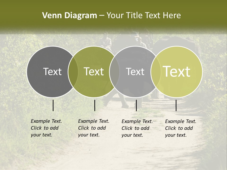 A Group Of Elephants Walking Down A Dirt Road PowerPoint Template