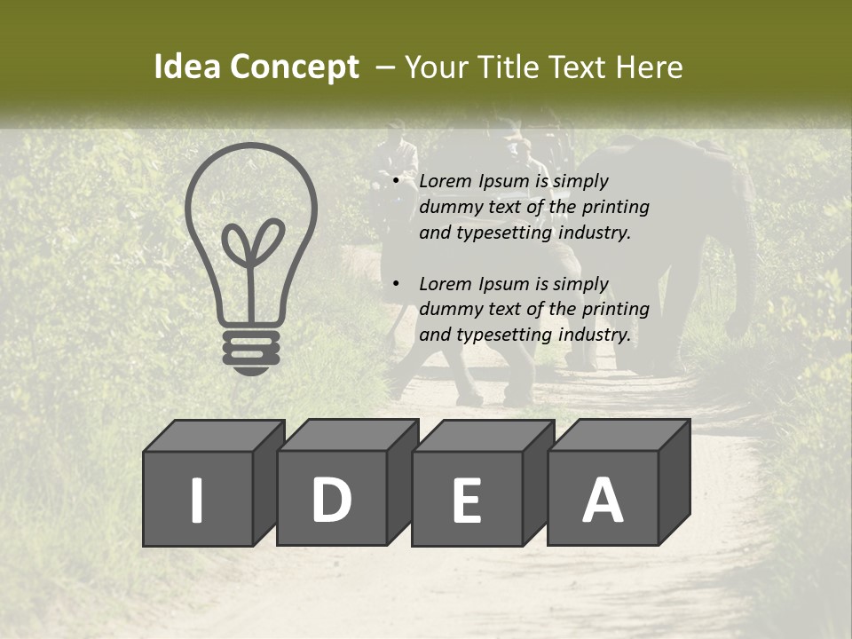 A Group Of Elephants Walking Down A Dirt Road PowerPoint Template
