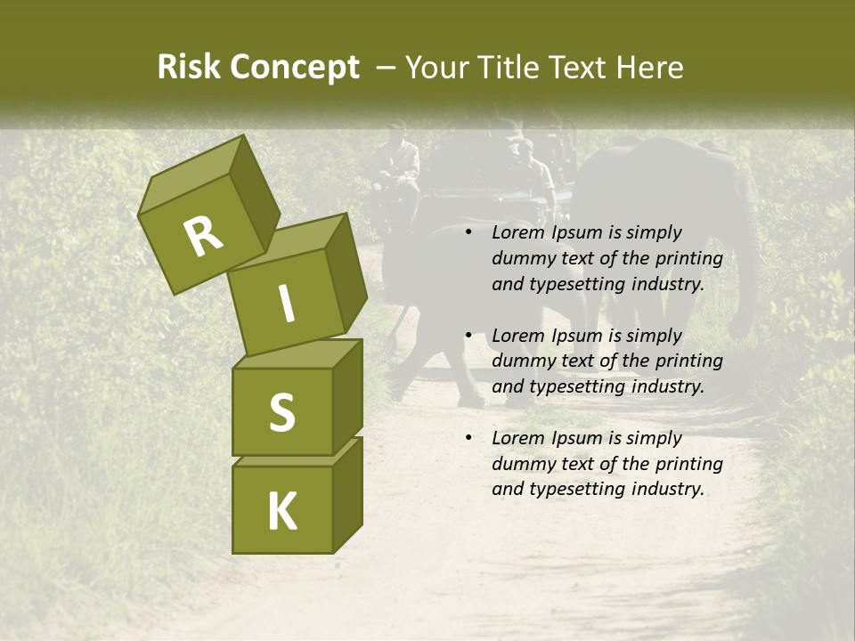 A Group Of Elephants Walking Down A Dirt Road PowerPoint Template