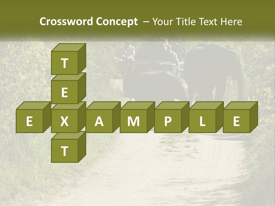 A Group Of Elephants Walking Down A Dirt Road PowerPoint Template