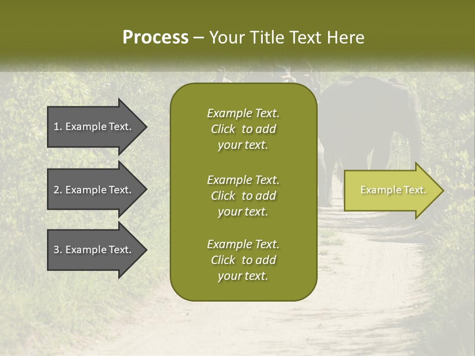 A Group Of Elephants Walking Down A Dirt Road PowerPoint Template