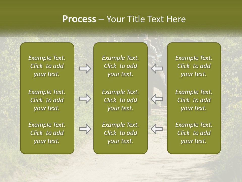 A Group Of Elephants Walking Down A Dirt Road PowerPoint Template