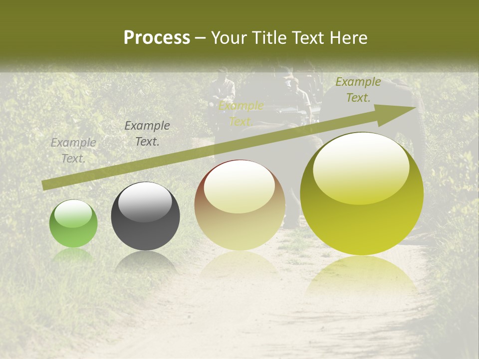 A Group Of Elephants Walking Down A Dirt Road PowerPoint Template