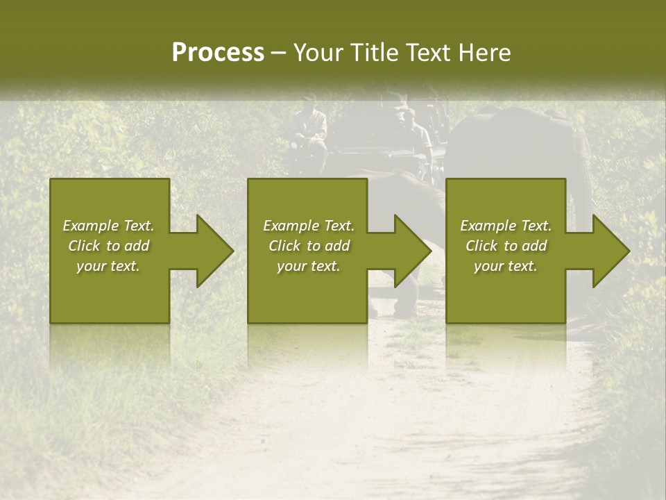 A Group Of Elephants Walking Down A Dirt Road PowerPoint Template