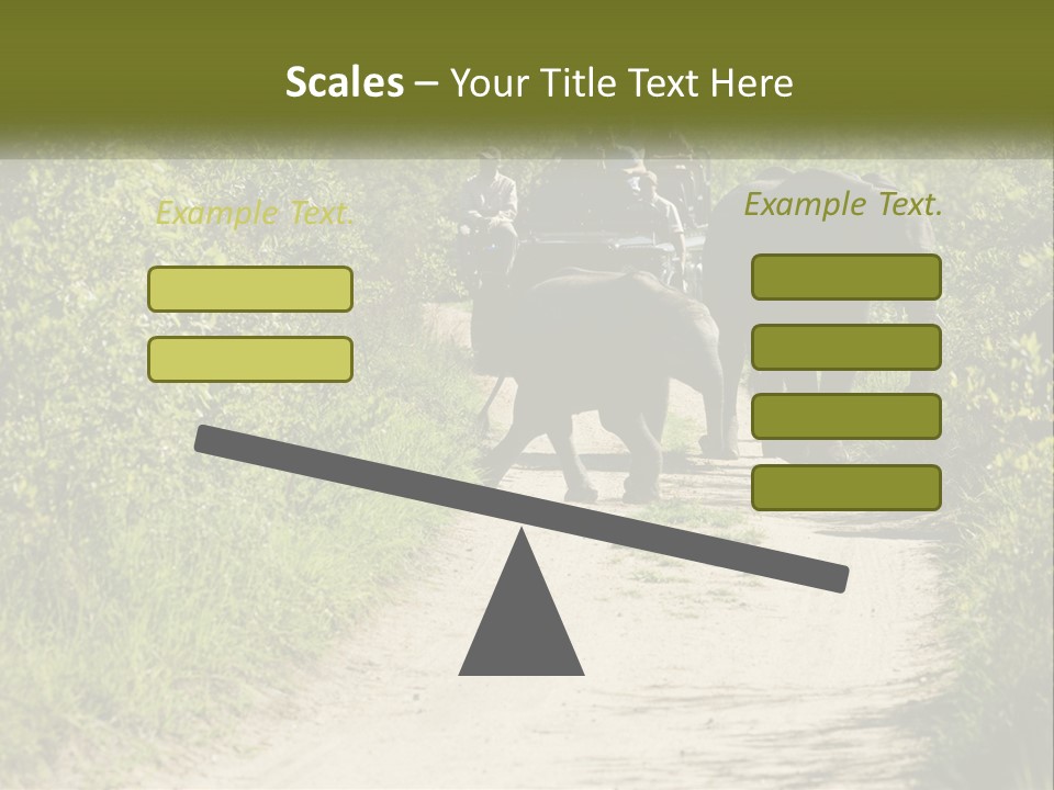 A Group Of Elephants Walking Down A Dirt Road PowerPoint Template