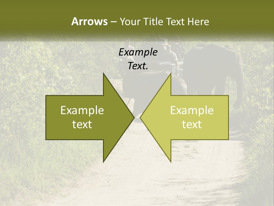 A Group Of Elephants Walking Down A Dirt Road PowerPoint Template