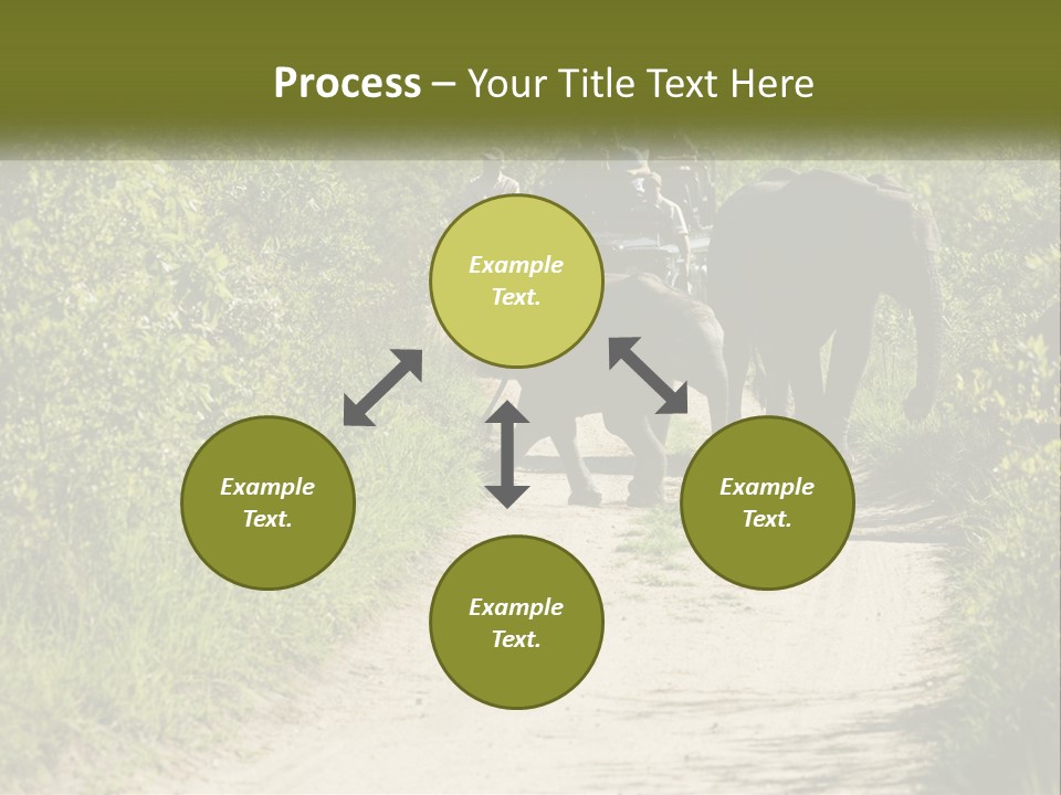 A Group Of Elephants Walking Down A Dirt Road PowerPoint Template