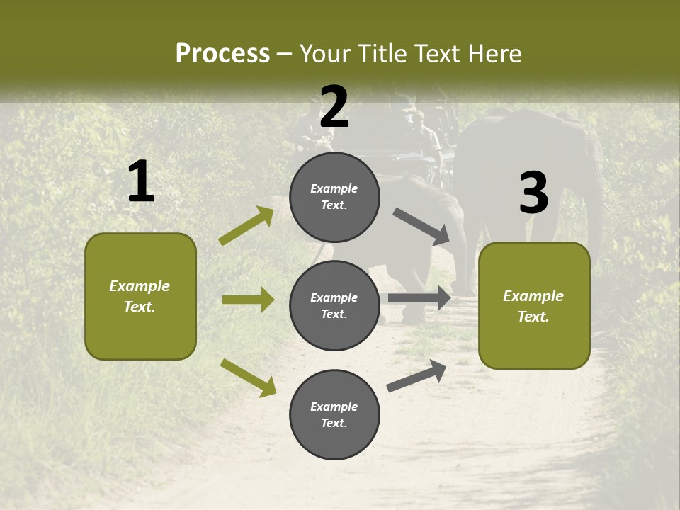 A Group Of Elephants Walking Down A Dirt Road PowerPoint Template