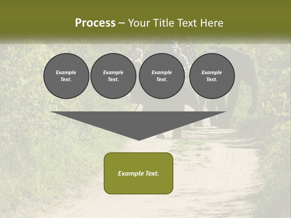 A Group Of Elephants Walking Down A Dirt Road PowerPoint Template