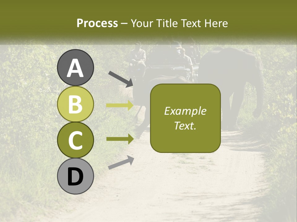 A Group Of Elephants Walking Down A Dirt Road PowerPoint Template