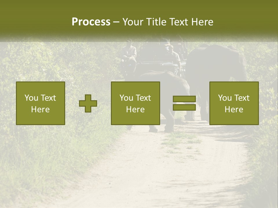 A Group Of Elephants Walking Down A Dirt Road PowerPoint Template