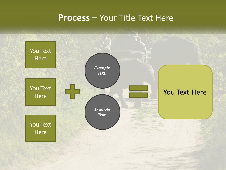 A Group Of Elephants Walking Down A Dirt Road PowerPoint Template