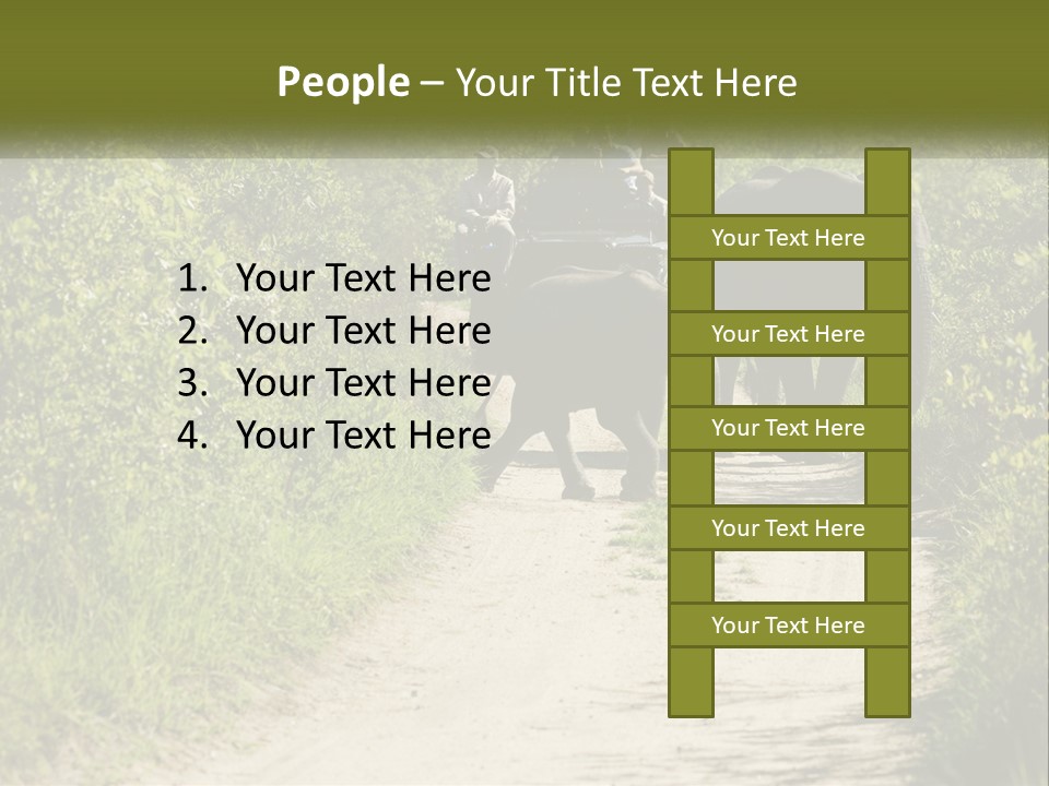 A Group Of Elephants Walking Down A Dirt Road PowerPoint Template