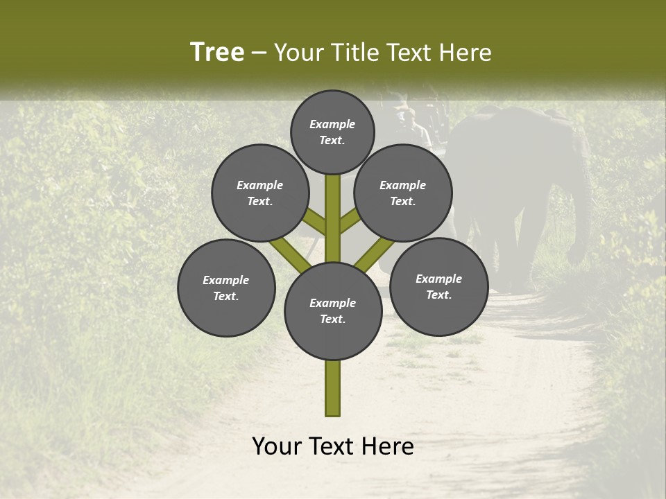 A Group Of Elephants Walking Down A Dirt Road PowerPoint Template