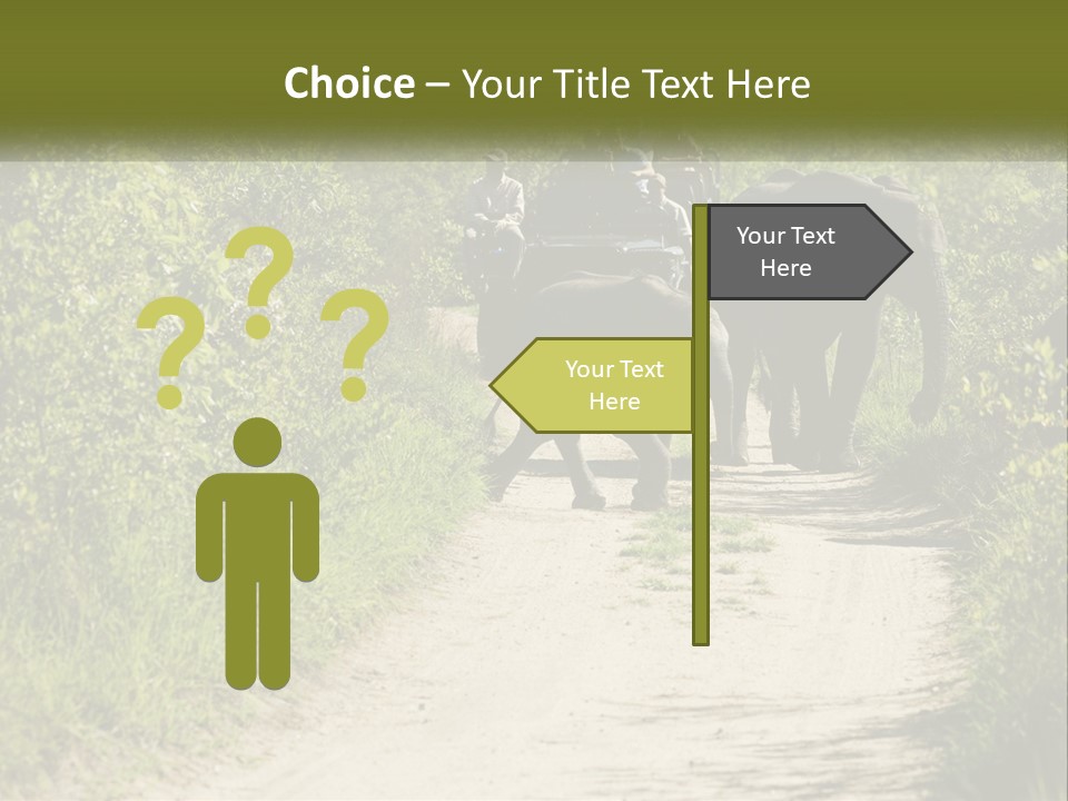 A Group Of Elephants Walking Down A Dirt Road PowerPoint Template