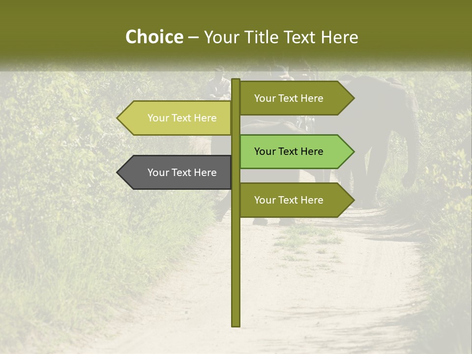 A Group Of Elephants Walking Down A Dirt Road PowerPoint Template