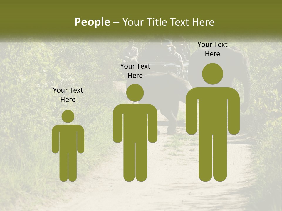 A Group Of Elephants Walking Down A Dirt Road PowerPoint Template