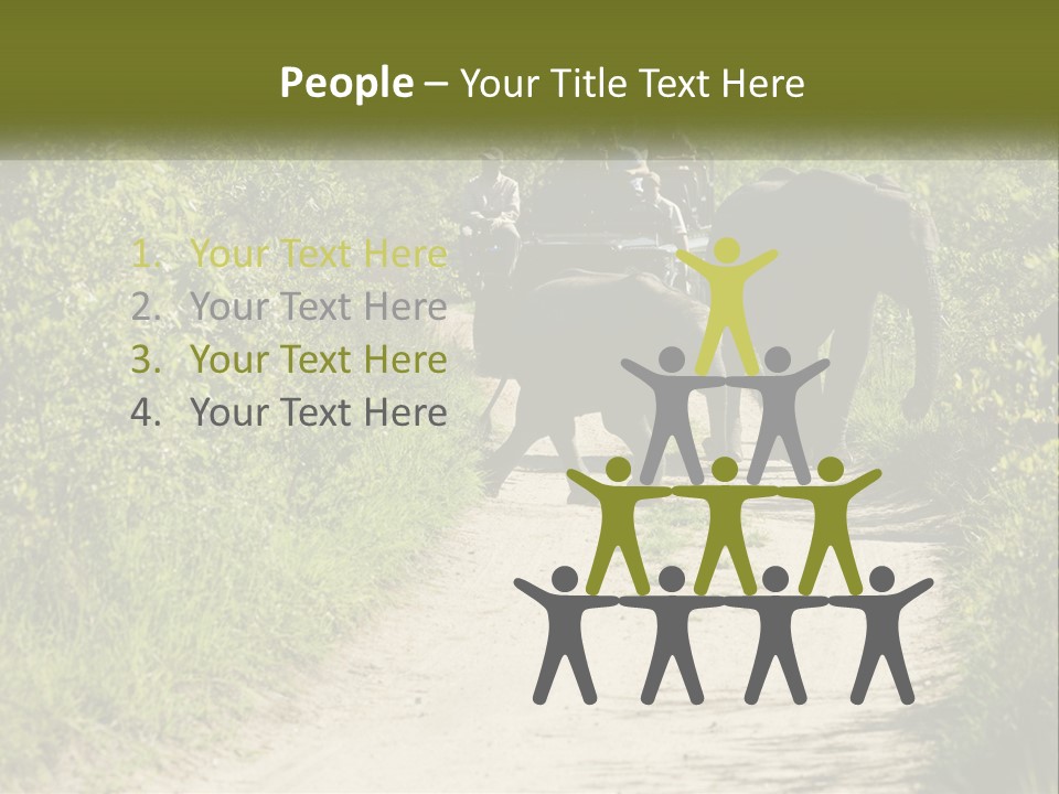 A Group Of Elephants Walking Down A Dirt Road PowerPoint Template
