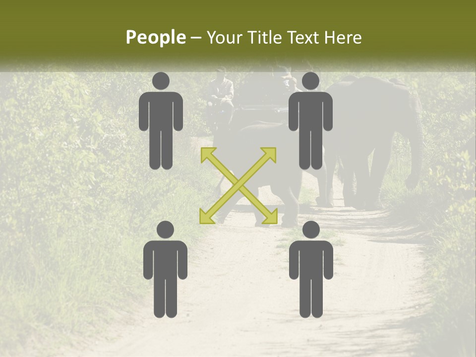 A Group Of Elephants Walking Down A Dirt Road PowerPoint Template