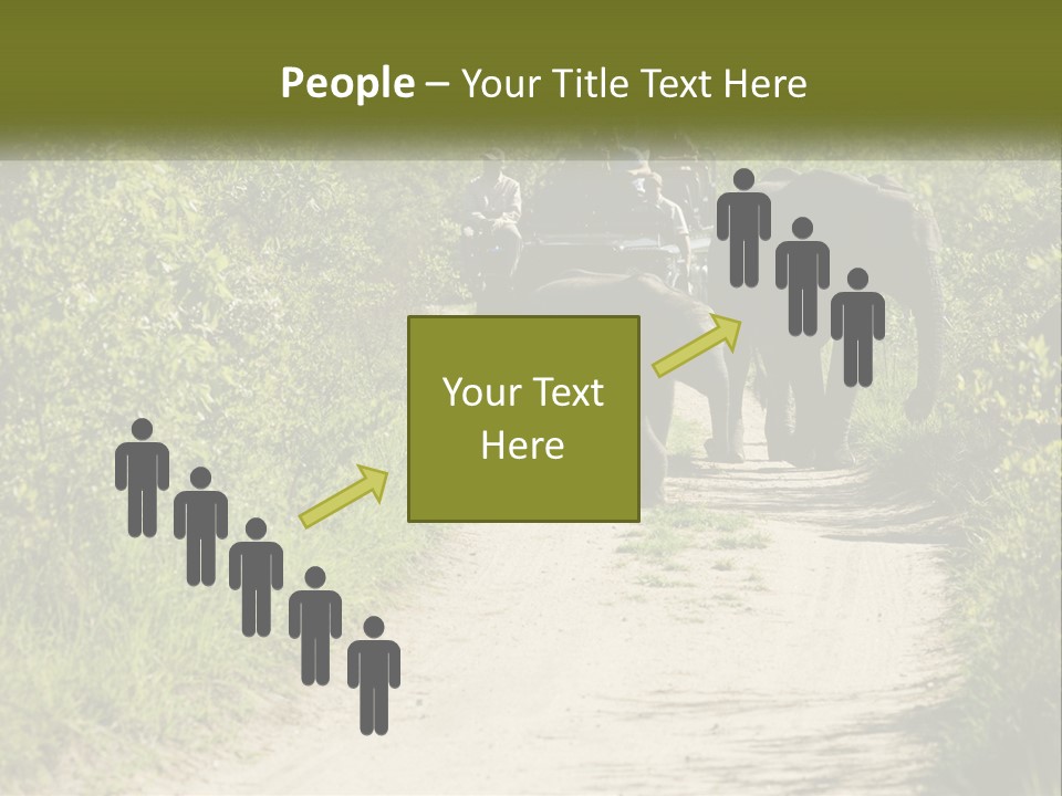 A Group Of Elephants Walking Down A Dirt Road PowerPoint Template