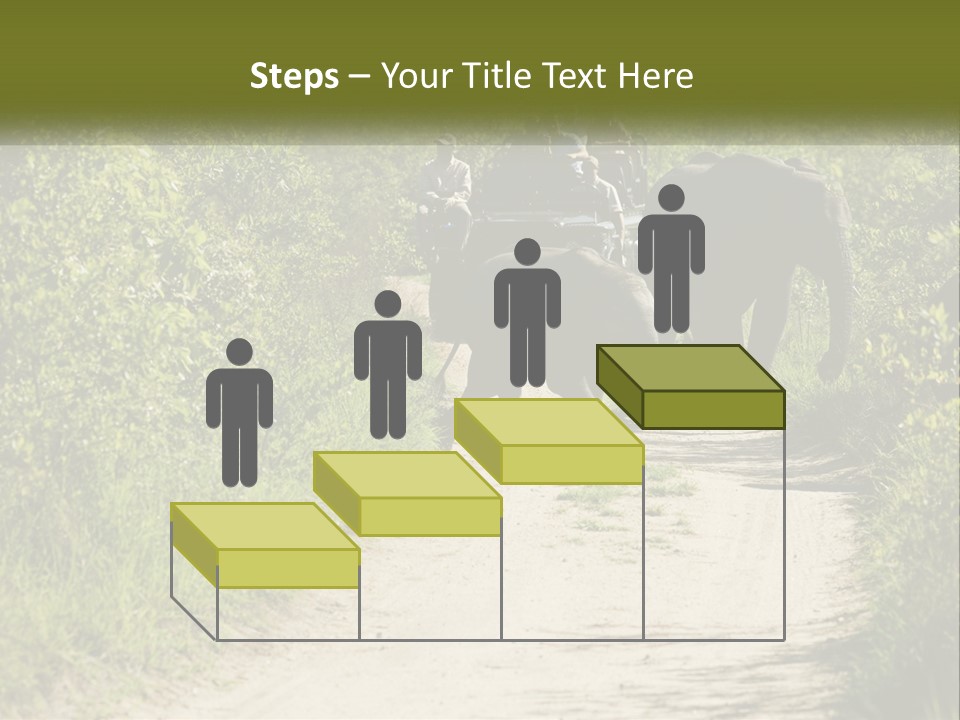 A Group Of Elephants Walking Down A Dirt Road PowerPoint Template