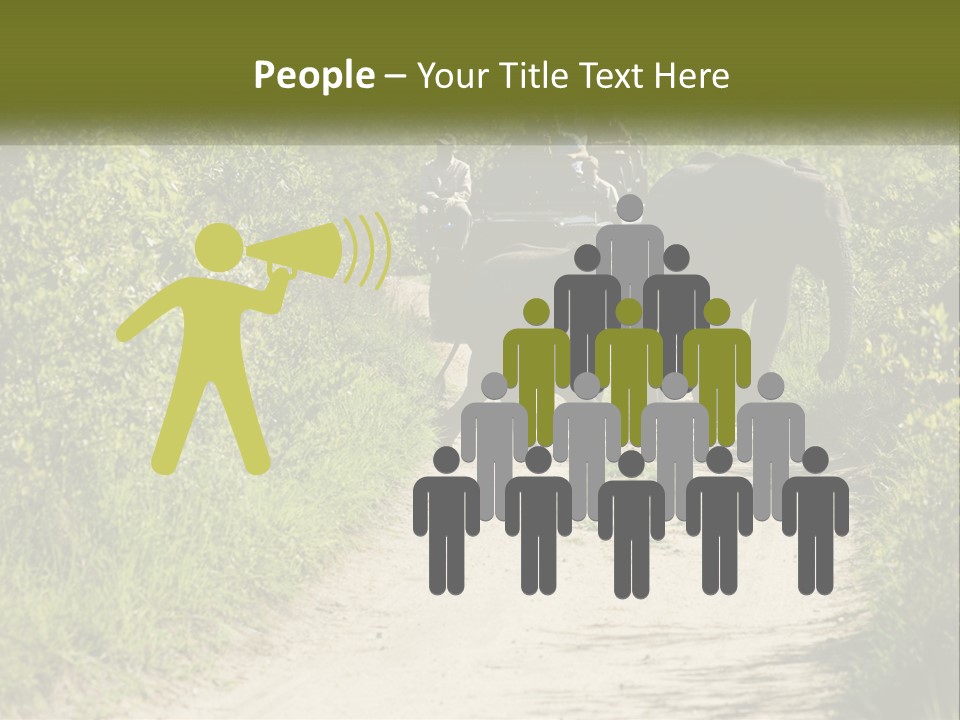 A Group Of Elephants Walking Down A Dirt Road PowerPoint Template