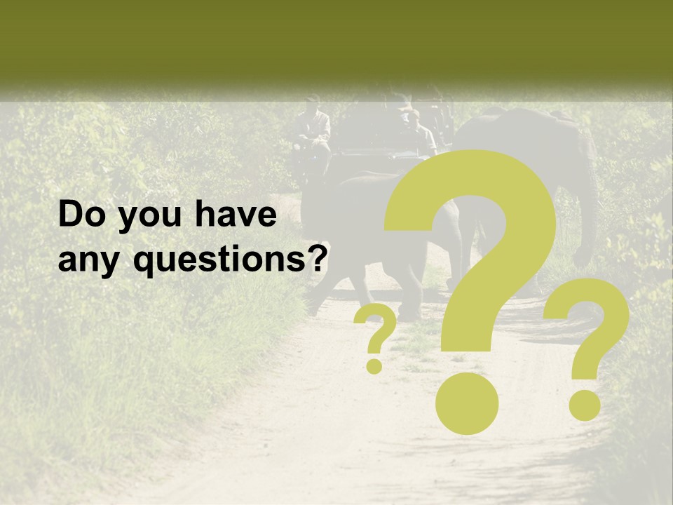 A Group Of Elephants Walking Down A Dirt Road PowerPoint Template