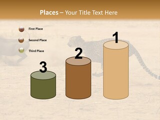 A Cheetah Chasing A Wildebeest In The Desert PowerPoint Template