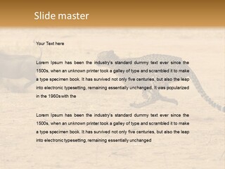 A Cheetah Chasing A Wildebeest In The Desert PowerPoint Template