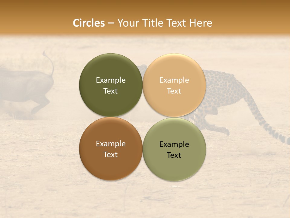 A Cheetah Chasing A Wildebeest In The Desert PowerPoint Template