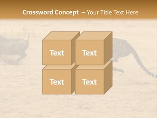 A Cheetah Chasing A Wildebeest In The Desert PowerPoint Template