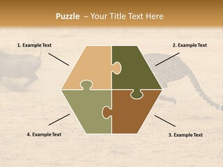 A Cheetah Chasing A Wildebeest In The Desert PowerPoint Template