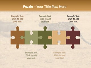 A Cheetah Chasing A Wildebeest In The Desert PowerPoint Template