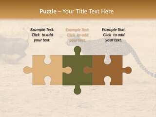 A Cheetah Chasing A Wildebeest In The Desert PowerPoint Template