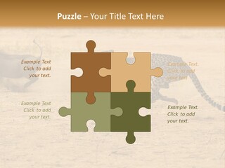 A Cheetah Chasing A Wildebeest In The Desert PowerPoint Template