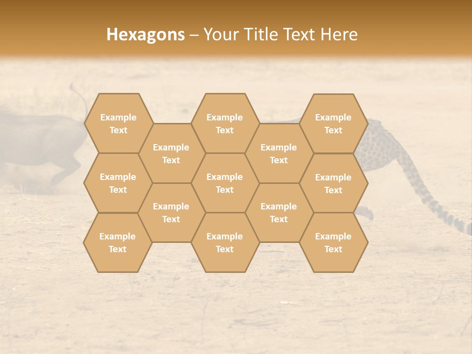 A Cheetah Chasing A Wildebeest In The Desert PowerPoint Template