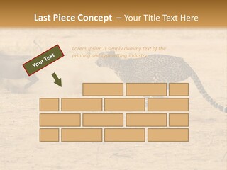 A Cheetah Chasing A Wildebeest In The Desert PowerPoint Template