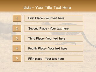 A Cheetah Chasing A Wildebeest In The Desert PowerPoint Template