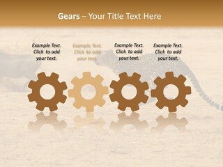 A Cheetah Chasing A Wildebeest In The Desert PowerPoint Template