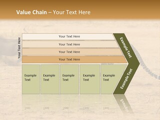 A Cheetah Chasing A Wildebeest In The Desert PowerPoint Template