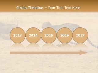 A Cheetah Chasing A Wildebeest In The Desert PowerPoint Template