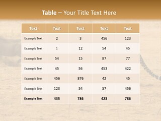 A Cheetah Chasing A Wildebeest In The Desert PowerPoint Template