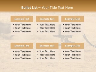 A Cheetah Chasing A Wildebeest In The Desert PowerPoint Template