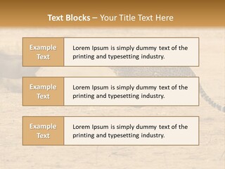 A Cheetah Chasing A Wildebeest In The Desert PowerPoint Template