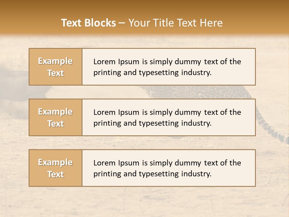 A Cheetah Chasing A Wildebeest In The Desert PowerPoint Template