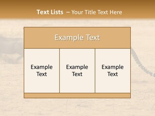 A Cheetah Chasing A Wildebeest In The Desert PowerPoint Template