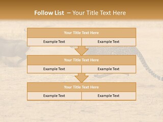 A Cheetah Chasing A Wildebeest In The Desert PowerPoint Template