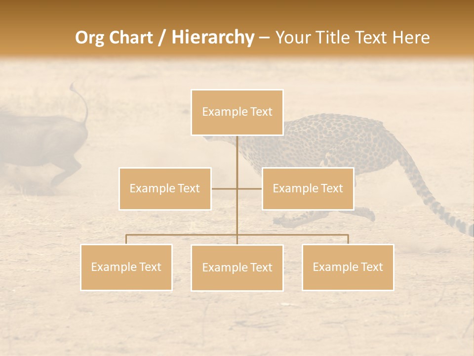 A Cheetah Chasing A Wildebeest In The Desert PowerPoint Template