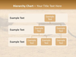A Cheetah Chasing A Wildebeest In The Desert PowerPoint Template